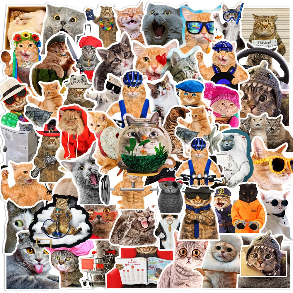 10/30/66pcs Cute Funny MEME Cat Stickers Kawaii Cartoon Animals Decals Laptop Motorcycle Suitcase Notebook Waterproof Sticker